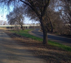 Parkway at Watt (SRN photo)